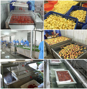 Doğal gıda sınıfı dondurularak kurutulmuş % ÇARKIFELEK MEYVESİ özü FD vitamini açısından zengin davul ve şişe içinde paketlenmiş - Product Image 5