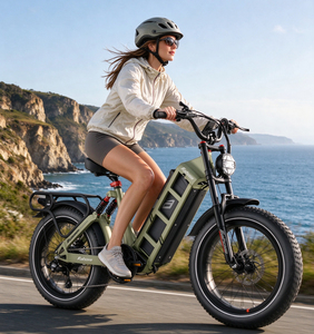 Bicicleta Eléctrica de Montaña Eahora Juliet, 250W, 52V, Todoterreno, Llantas Anchas, Cuadro de Acero, 20 Pulgadas, para Adultos, Aventura - Product Image 5