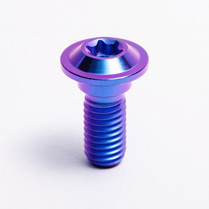 Baut Cakram Paduan <span class=keywords><strong>Titanium</strong></span> BST-TI Dengan Kepala Torx Sekrup dan Baut Motor <span class=keywords><strong>Gr5</strong></span> - Product Image 1
