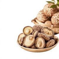 Échantillon de champignons Shiitake séchés naturellement à l'air, champignons comestibles, petite commande d'essai