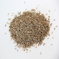 Biji Jintan Premium Cina Grosir 25kg/karung Dari Shandong
