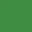 Vert gui (10502)