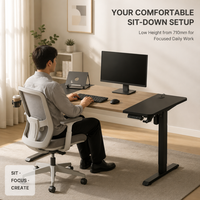 Table de travail électrique à moteur unique AOR, réglable en hauteur, avec panneau E0, contrôle à 3 vitesses par bouton mémoire, protection contre la surchauffe, vente en gros usine