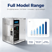 Générateur de vapeur industriel JOWIN pour la transformation alimentaire des nouilles de riz, 36KW, 240V, 380V, 400V, chaudière à vapeur en acier inoxydable 304L, équipement de chauffage