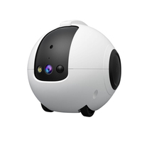 Caméra de surveillance pour animaux de compagnie DH013 4MP AI avec batterie 1440P 10000mAh, détection PIR, audio bidirectionnel et vision nocturne pour les acheteurs en gros