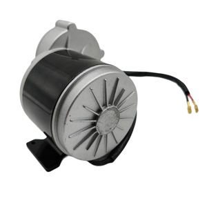 高トルクMY1016Z3DCブラシモーター電動スクーター24V350Wチェーンモーターdogcart用 - Product Image 2