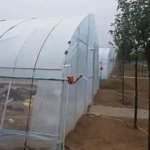 Agricoltura delle serre del tunnel di coltivazione delle verdure usata per la vendita