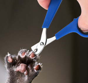 Outil de toilettage <span class=keywords><strong>pour</strong></span> animaux de compagnie en acier inoxydable à lame courbée, manche antidérapant en TPR, coupe-ongles <span class=keywords><strong>pour</strong></span> chiens et chats de petite et moyenne taille, vente en gros - Product Image 6