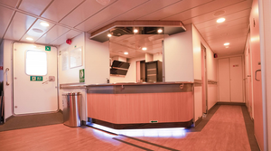 Ferry touristique personnalisé, nouveau <span class=keywords><strong>bateau</strong></span> à passagers en fibre de carbone, alimenté au diesel, pour la mer côtière et les rivières, disponible à la vente - Product Image 6