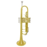 Trumpet Bb Professional Brass Instrument Exquisite Trompete With Mouthpiece Strap Case Musical Instrument Accessories