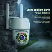Caméra de vidéosurveillance intelligente Tuya sans fil pour l'extérieur Vision nocturne couleur Carte 256G Prise en charge de la conversation bidirectionnelle Étanche IP66