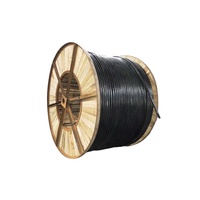 Cable de Minería Industrial de Cobre y PVC con Clasificación IP67, Cable Subterráneo para Carbón de 0.6/1kV 4-70mm 1000m CPE/Neopreno 1.5-240mm2 16-300mm2