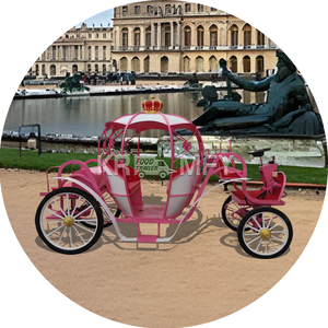 Elegante Cenicienta boda eléctrico sin caballos turismo carro especial calabaza caballo carro para el transporte - Product Image 2