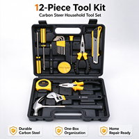 Ensemble d'outils 12 pièces en acier au carbone avec logo personnalisé OEM pour la vente en gros, les commandes en vrac, la réparation à domicile, les magasins de quincaillerie et la présentation en magasin