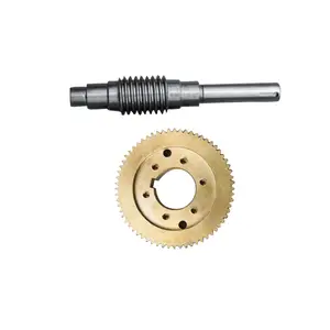 High Precision Brass Stainless Steel Worm Gear for Wheel Gearbox Reducer Use