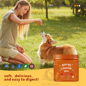 OEM/ODM Personalizado, Certificado Halal/Kosher, Sin Granos, Alivio de Alergias <span class=keywords><strong>para</strong></span> Mascotas, Soporte Inmunológico, Golosinas Blandas con Probióticos <span class=keywords><strong>para</strong></span> <span class=keywords><strong>Perros</strong></span> - Product Image 4