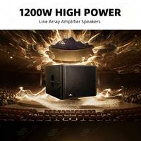 DHL-18SUB Subwoofer Actif Professionnel 18 Pouces avec DSP, Boîtier en Contreplaqué Durable, Haute Puissance Max 4800W pour Événements, Prise en Charge du Logo