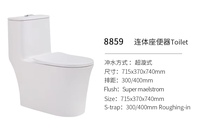 WC monobloc moderne de fabrication chinoise pour salle de bain