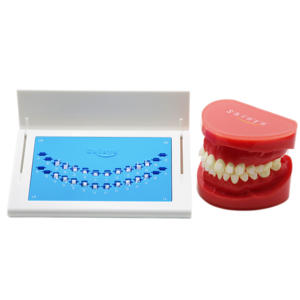 Shinye Kiefer ortho pä dische Roth Keramik Keramik Kieferorthopädie Brackets Keramik Braces Bester Preis Selbst ligier ende Keramik Brackets - Product Image 1