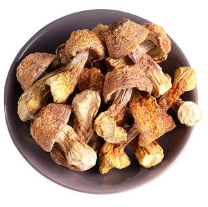 Extrait d'Agaricus Blazei Murril biologique naturel, poudre d'Agaricus Blazei Murril, extrait de champignon ABM Ji Song Rong au meilleur prix - Product Image 3