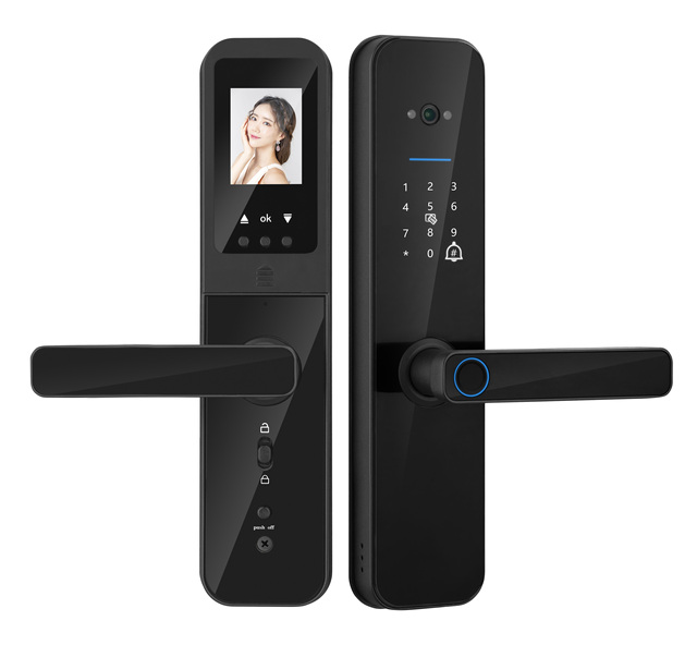 Taichen F8 Biometric Fingerprint Smart Door Lock Tuya WiFi Camera Cerradura Inteligente for Security Steel Aluminum Wood Door