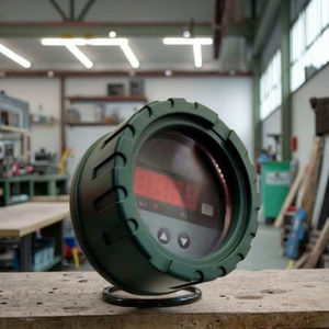 अलार्म फ़ंक्शन के साथ विस्फोट-प्रूफ तापमान नियंत्रक - Product Image 2