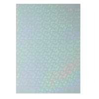 Film de plastification holographique transparent A4, film de plastification thermique laser, film de plastification à froid en PET, film de superposition holographique
