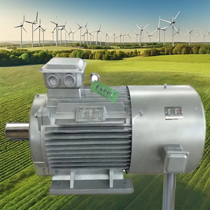 Générateur synchrone à aimants permanents (PMSG) pour les centrales éoliennes et hydroélectriques - Product Image 3