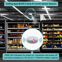 STiE9 Type Plafond 2 piles AAA (2100mAh) Balise BLE5.0 Capteur de Température et d'Humidité SHT21