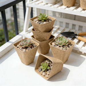 Macetas de pulpa desechables para viveros, vasos para plántulas de 6/8 cm, bandejas de inicio con 2x3, 2x4, 3x4, 2x5 celdas, macetas compostables con orificios - Product Image 1