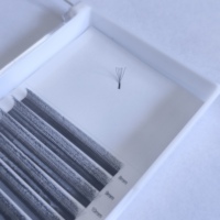 Extensions de cils en U W6D de haute qualité, cils denses 0,07 mm C CC D L M LC LD LB, marque privée
