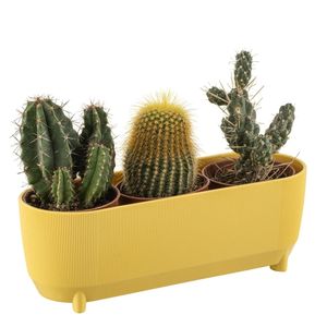 Maceta Triple Luna 6 de Plástico Reciclado Premium, Ecológica, Ligera, para Interiores, Exteriores, Jardín, Balcón, Patio y Hogar - Product Image 2