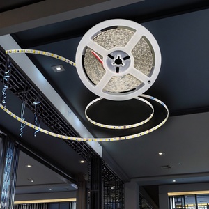 High Quality Super Bright Flexible High Density Led Strips 24v 12v Strip <b>Light</b> <b>Ceiling</b> 120LED 5mm Led Stripe <b>Lights</b> - Product Image 1
