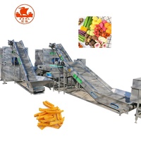 400Kg/Batch Gedroogde Apple Chips Productielijn/Gedroogde Mango Verwerking Machine/Gedroogd Fruit Machines
