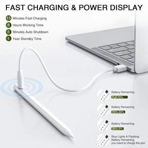 Lápiz Capacitivo, Stylus, Lápiz USB-C, Lápiz para Pantalla Táctil, Lápiz USB C con Rechazo de Palma para Dibujar en iPad M3 M4 - Product Image 2