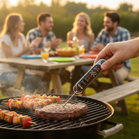 Thermomètre numérique magnétique portable étanche à LED pour la mesure de la température des steaks et de la cuisine, idéal pour la vente en gros