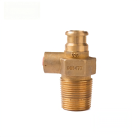 Structure de sécurité et de décharge de pression pour valve de bouteille de GPL en laiton D20, spécification standard