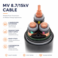 8,7KV 10KV 15kV 20KV XLPE/SWA/PVC Mittelspannungs-Stromkabel YJV32 Kupferkabel IEC 60502-2 95mm 120mm 150mm 185mm 240mm 300mm