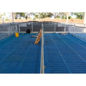 <span class=keywords><strong>Prix</strong></span> de gros : Plancher en plastique à lattes pour porcs, équipement porcin, revêtement de sol pour porcs et plancher en plastique pour chèvres, vente directe usine - Product Image 5
