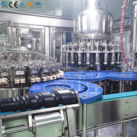 Ligne de production de jus de fruits automatique clé en main 1000 bph