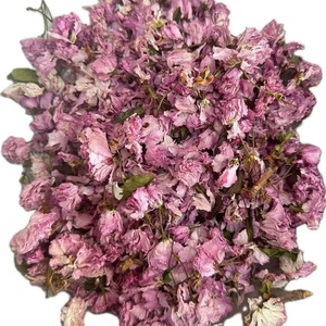 Thé de fleurs de <span class=keywords><strong>cerisier</strong></span> séchées Premium 500g/sac <span class=keywords><strong>Prunus</strong></span> Serrulata Saveur naturelle japonaise Thé santé brut en vrac Boîte Bouteille - Product Image 6