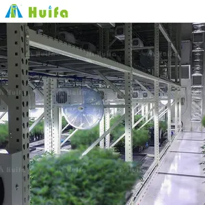 Intelligent Growth Solutions Smart Indoor Vertical Farming Mobile Vertical Grow Rack Systems