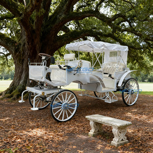 Charrette électrique de haute qualité pour mariages ou visites touristiques, transport spécial, charrettes de Cendrillon - Product Image 3