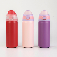 Bouteilles d'eau isothermes à double paroi en acier inoxydable 304 de 750 ml avec logo personnalisé OEM ODM, tasse isotherme à double paroi