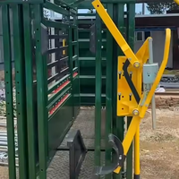 Échelles de chute de compression de bétail galvanisées automatiques résistantes modélisation 3D disponible équipement de ferme d'écrasement de bétail pour le bétail