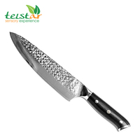 Couteau de chef en acier inoxydable VG10 de haute qualité avec manche en plastique pour des performances aiguisées