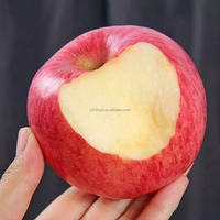 Nieuwe Oogst Fuji Rode Appel Fabriek Prijs Vers Fruit Te Koop