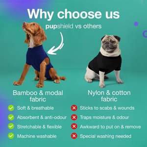 Golden Retriever Bulldog Teddy Bear Husky Deportes y entretenimiento Conjuntos de ropa para mascotas - Product Image 6