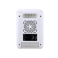Mini-réfrigérateur portable thermoélectrique compact de 4L, certifié CE ROHS, pour soins de la peau, voiture, dortoir