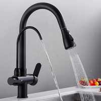 Robinet d'évier de cuisine avec pulvérisateur à tirette 2 poignées 3 en 1 filtre à eau purificateur robinet de cuisine